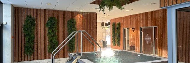 Billede af Wellness området